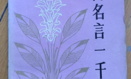 名言佳句1000句,智慧之光