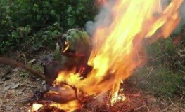暗黑吃瓜官网入口,带你探索神秘网络世界