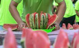 孟子义未修图状况掀翻全网审美！吃瓜幼师妹-香港陌头惊现“阳世繁华花”