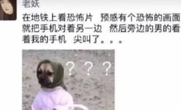 网上那些笑死人的沙雕图,沙雕图集锦，笑到肚子疼的欢乐瞬间