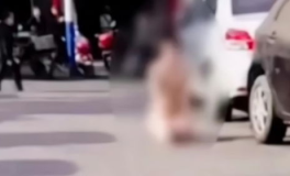 女生光溜溜身子的视频大全图片,女生光溜溜视频引发热议”