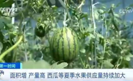 百姓吃瓜网,揭秘娱乐圈幕后故事，带你领略真实娱乐圈