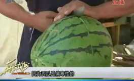 网传吃内脏的瓜,内蒙古一中“吃内脏”事件真相与反思