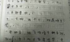 一只狗两个口谁遇它谁发愁,双口之谜，引发众愁的可爱生灵