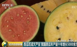 全球最大的吃瓜网,揭秘吃瓜网独家热辣资讯